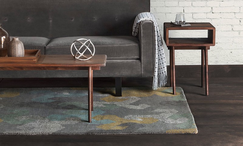 Area Rug and Other Furnishings